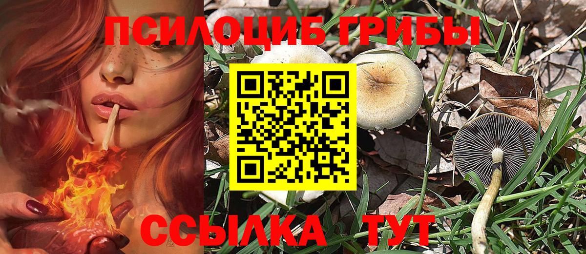 Костомукша  Галлюциногенные грибы GOLDEN TEACHER  Вход с VPN 